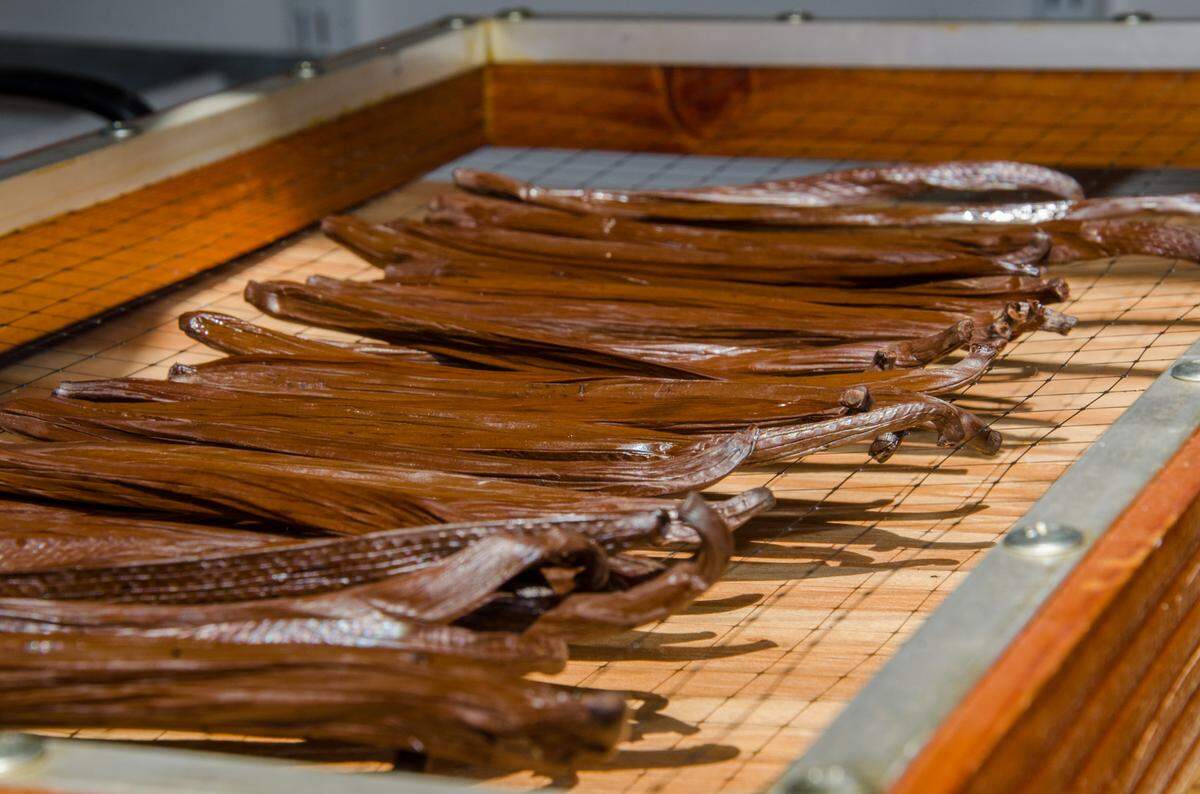 Vanilla is cured on site at The Vanillerie.