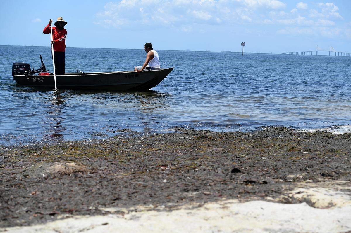 06/08/21—Boaters set out from the algae-laden shores of Emerson Preserve.