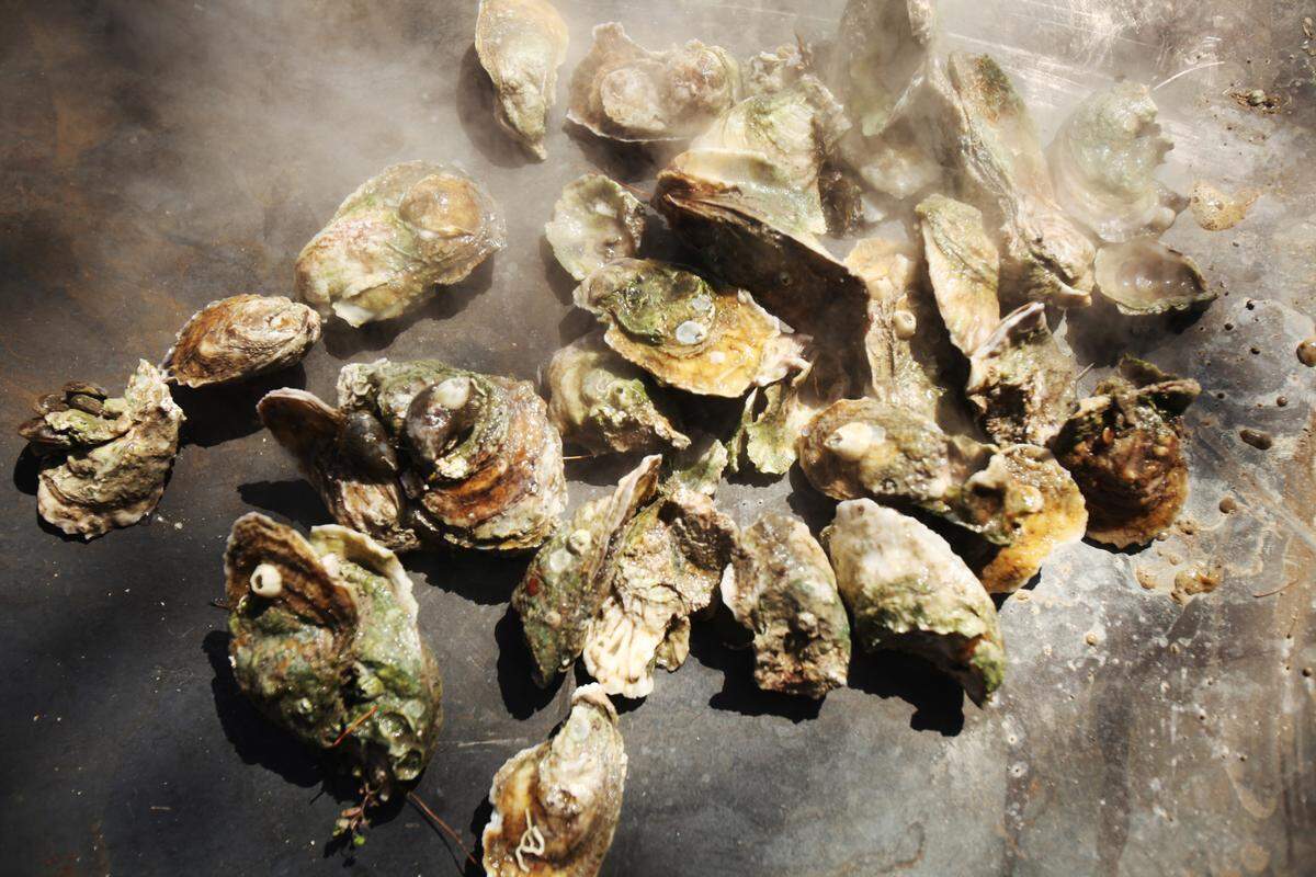 A single oyster can filter as much as 50 gallons of water a day. Combine millions of them and they could be an affective tool in keeping red tide at bay in some areas of the county’s waterways.