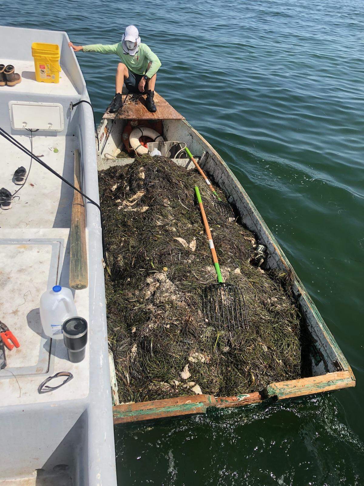 Commercial fisherman Nathan Meschelle usually supplies fish for local seafood restaurants, but he changed gears to help clean local waters during a recent bout of red tide.