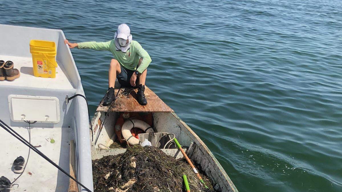 Commercial fisherman Nathan Meschelle usually supplies fish for local seafood restaurants, but he changed gears to help clean local waters during a recent bout of red tide.
