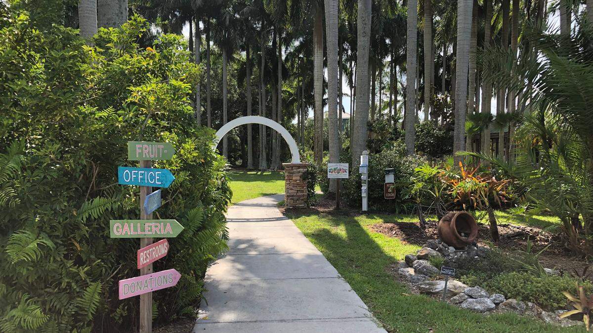 5/11/2021--A good place to learn more about the trees and plants that will be available at the rare fruit tree sale at Lakewood Ranch’s Premier Sports Campus 9 a.m. - 3 p.m. Sunday, May 16, is Palma Sola Botanical Park in Northwest Bradenton.