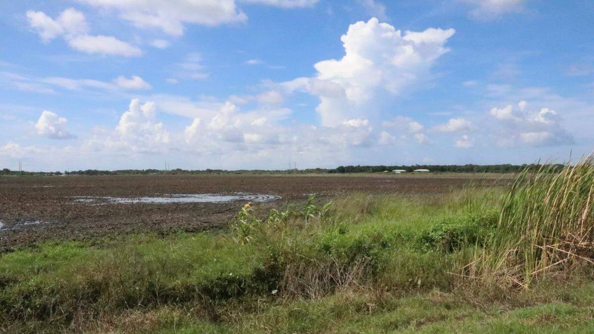Paperwork for the Curiosity Creek Overlay Master Plan was recently submitted to Manatee County Building Services to increase 1,594 residential units there to 1,960. The property is located north of Buckeye Road and east of U.S. 41.
