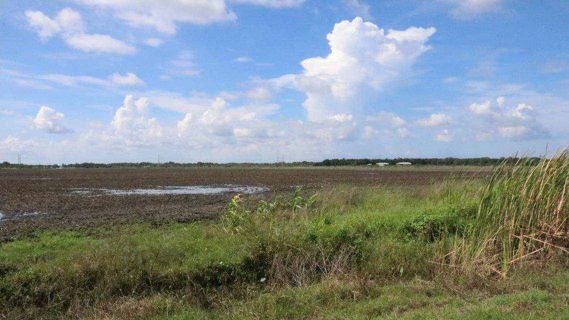 Curiosity Creek moves closer to bringing as many as 1,960 homes to northern Manatee