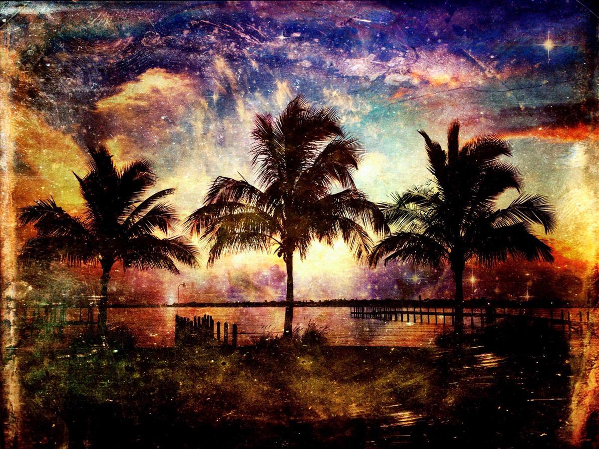 “Three Palms,” a piece by photographic artist Skip Nall.