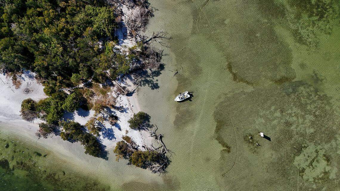 Paradise Island on Feb. 9, 2026. Experts say that the dredging required for a cruise port could impact water clarity and tidal flow in the area, potentially lowering water quality.  