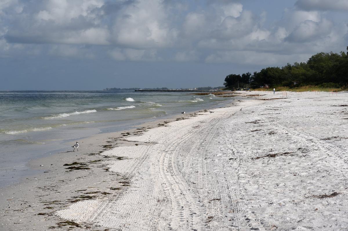 The beach was almost deserted Thursday morning on Coquina as red tide apparently kept most people away.