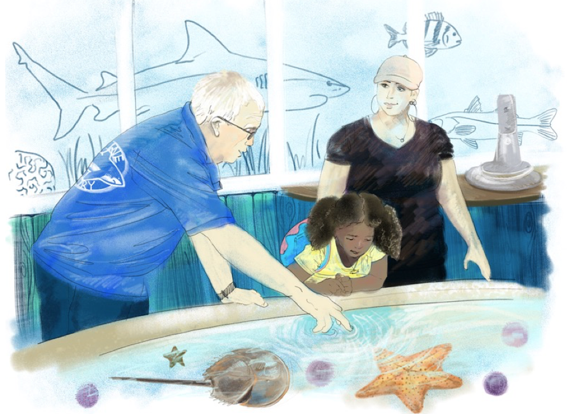 Mote Marine and the City of Anna Maria expect that a marine education center could open on the city pier by March 2023, funded in part by $500,0000 in tourist taxes.
