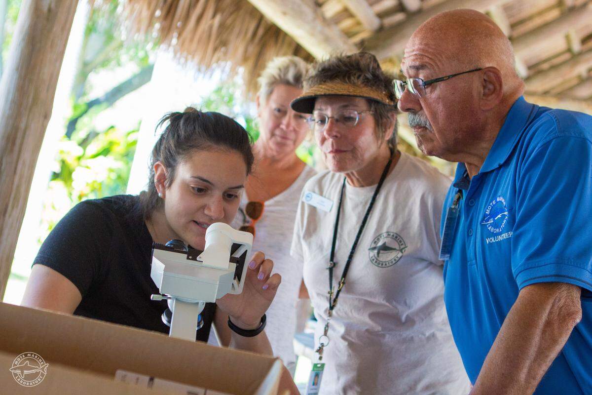 Mote scientists show a group of volunteers how to use the HABscope, a system developed by the National Oceanic and Atmospheric Administration (NOAA) and the Gulf of Mexico Coastal Ocean Observing System (GCOOS) that combines a new smartphone app with a low-cost microscope. This technology will allow the volunteers to identify Karenia brevis algae cells (Florida red tide) in water samples collected at the beach. Photos taken on Wednesday, April 12, 2017. Pictured (left): Devin Burris, staff biologist with Mote’s Phytoplankton Ecology Program.