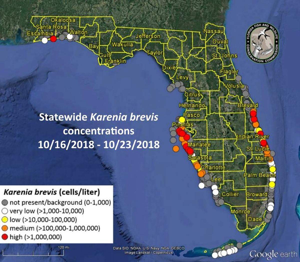 Red tide levels have returned to the “high” category after finally reaching low to background levels last week.