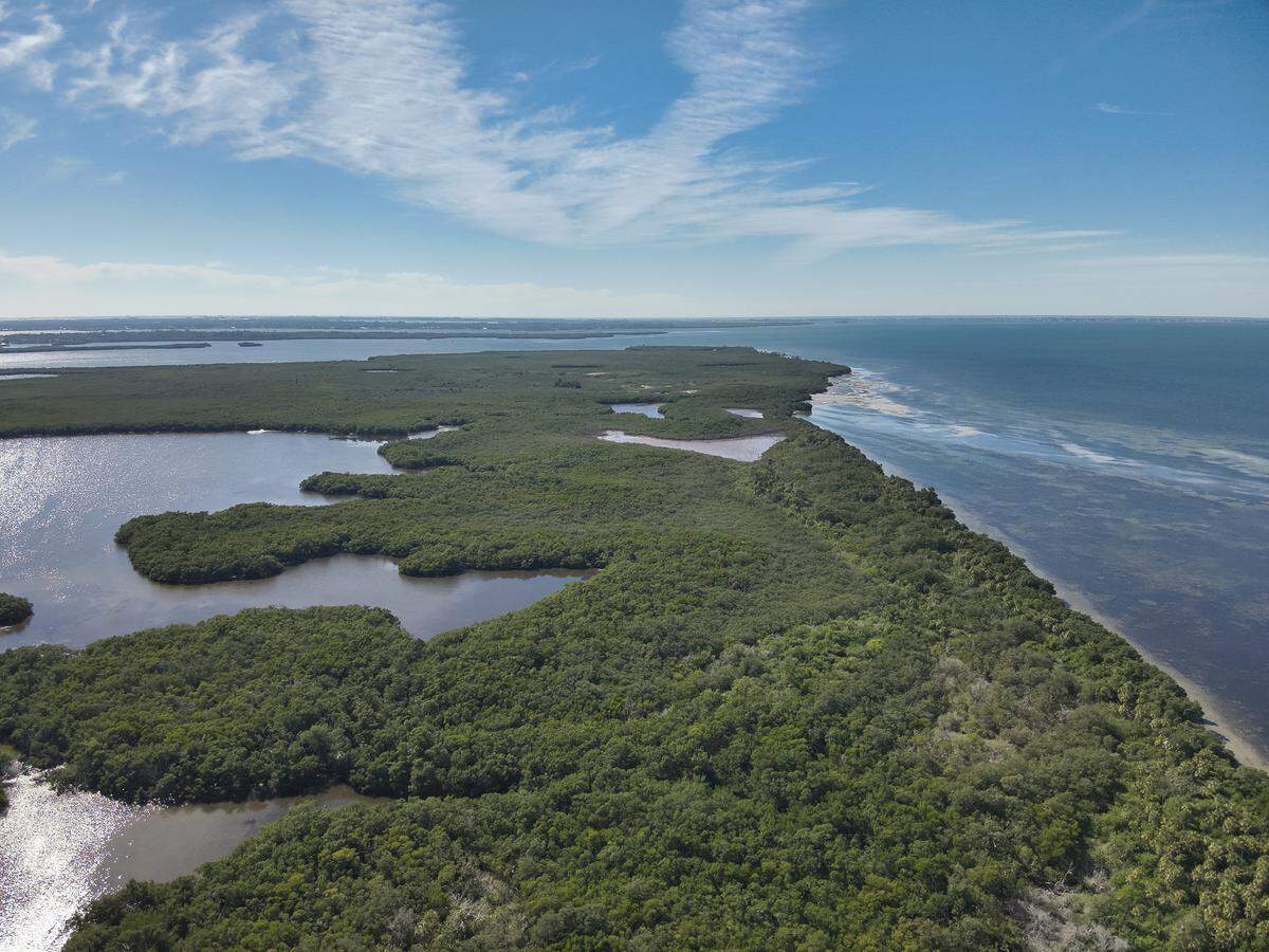 SSA Marine recently acquired the adjacent 710-acre Rattlesnake Key property through its subsidiary, the Rattlesnake Key Preservation Company. The company says its intent in purchasing the property is to remove any possibility of private commercialization and ensure its conservation.