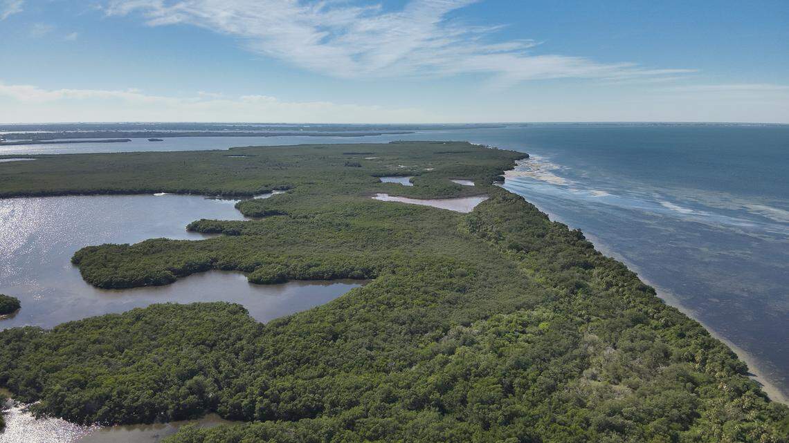 SSA Marine recently acquired the adjacent 710-acre Rattlesnake Key property through its subsidiary, the Rattlesnake Key Preservation Company. The company says its intent in purchasing the property is to remove any possibility of private commercialization and ensure its conservation.