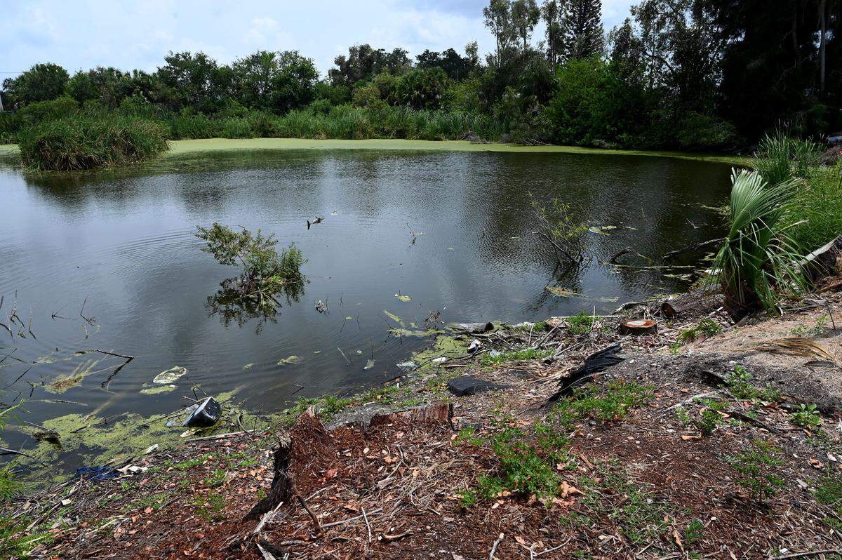 A lake beside Pic Town Estates Mobile Home Park is filled with garbage and trash where residents are worried about the level of violence and danger in their neighborhood following three homicides in the past month.