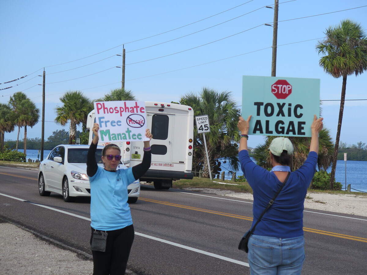 Cars honked in support of the Hands Along the Water protest as they drove down the Palma Sola Causeway Saturday morning.