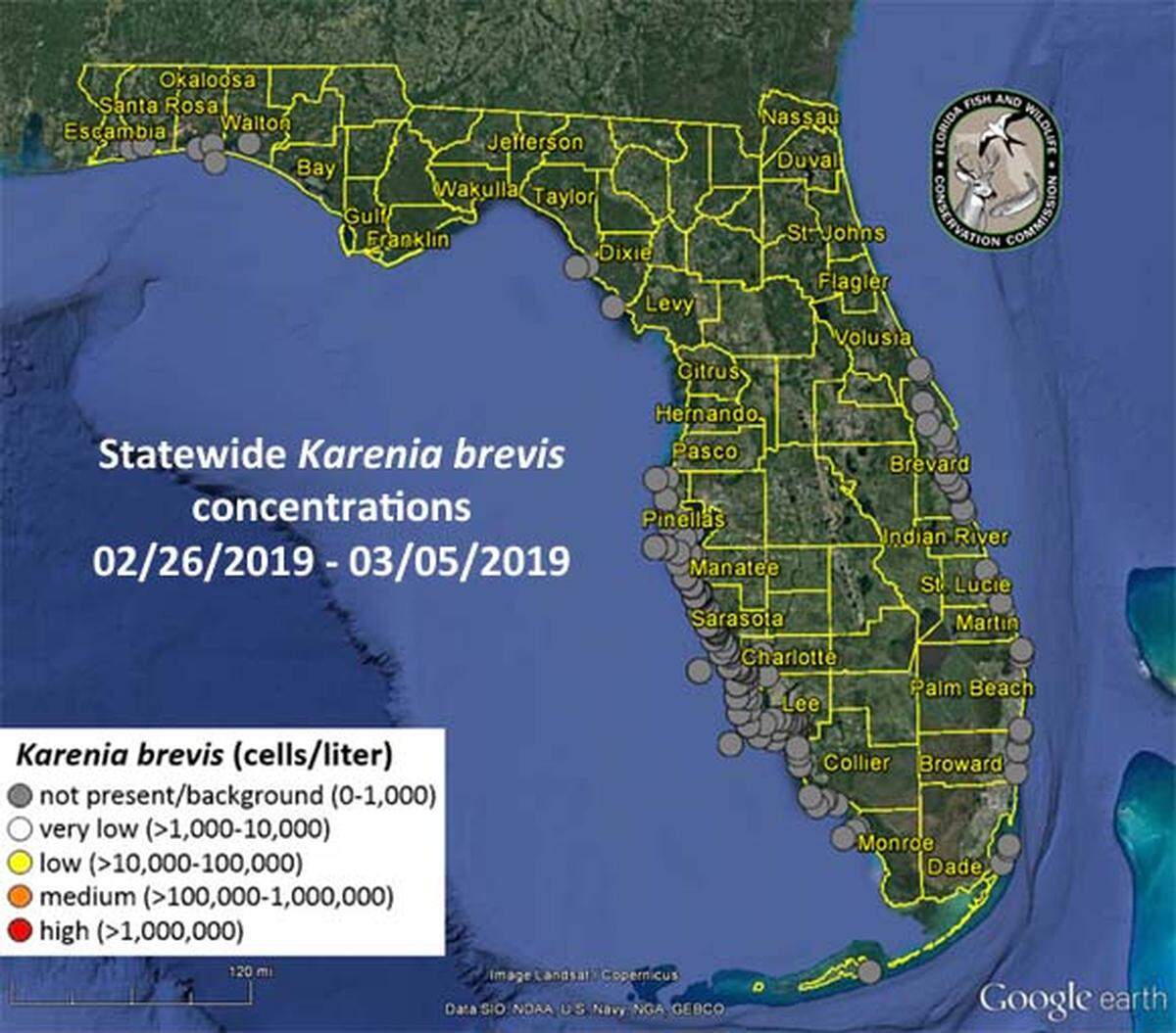 Red tide was not present or at background levels in all water samples collected around the state of Florida this week.