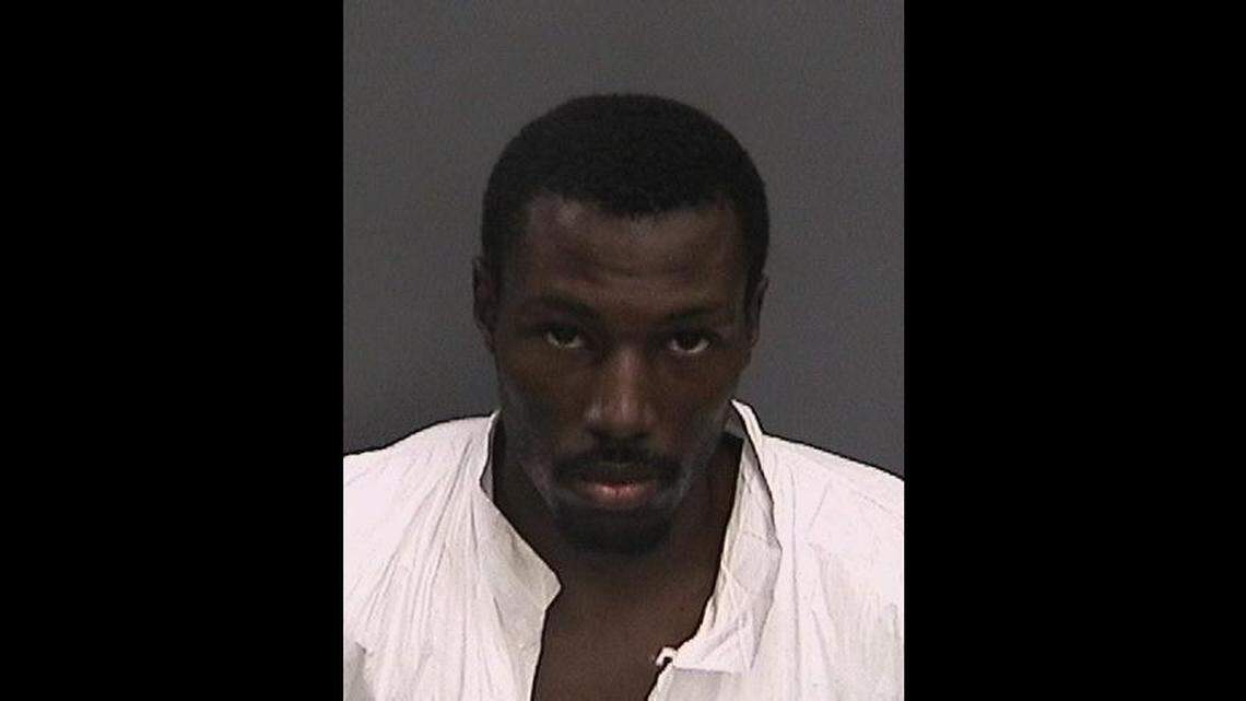 Mikese M. Morse, 30, of Tampa, faces charges of first-degree premeditated murder and leaving the scene of a crash. Morse is being held without bond.