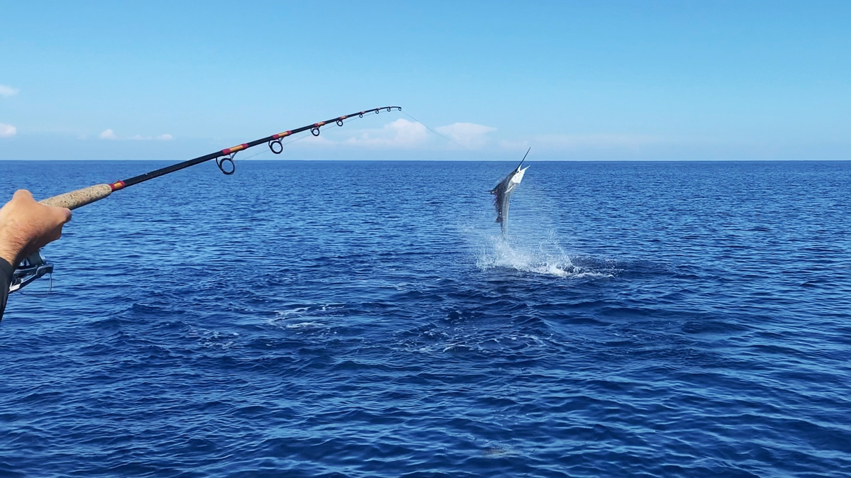 Eric Lowney’s team landed a sailfish in the Gulf of Mexico to win $5,000 in the Crosthwait Memorial Fishing Tournament off the coast of Anna Maria Island.