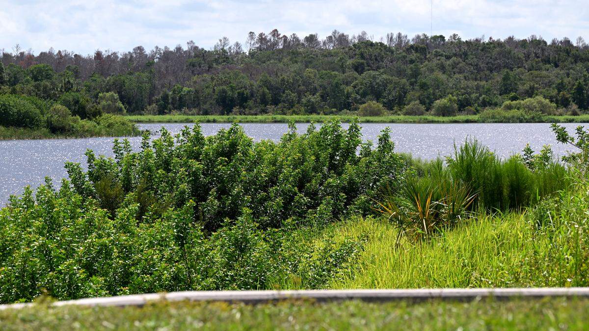 State officials are warning Manatee County residents not to waste water as a drought worsens in Southwest Florida. Lake Manatee, a source of drinking water in Manatee County, is pictured in this September 2024 Bradenton Herald file photo.
