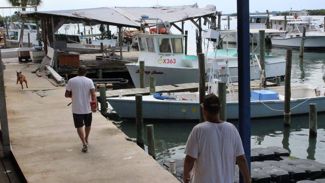 Crabbers say the supply of stone crab was down sharply this year, and they suspect red tide was the culprit.
