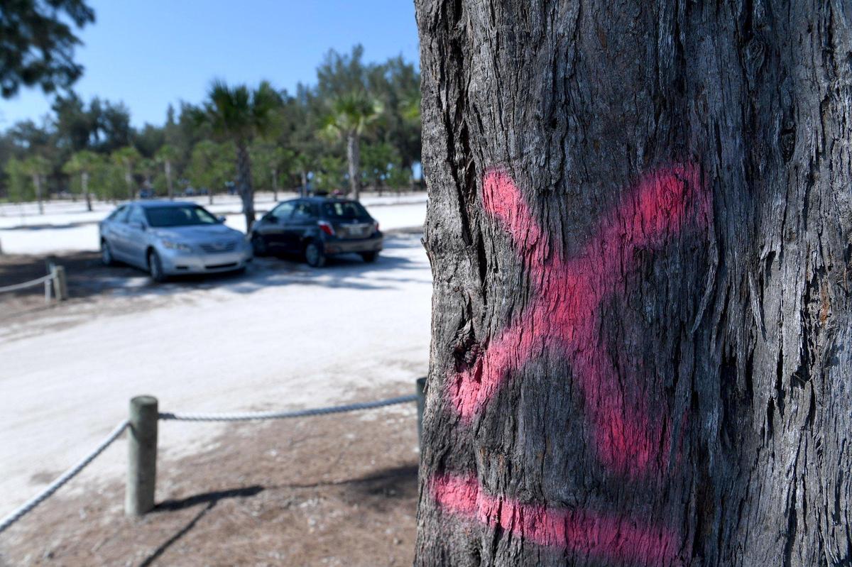 The Board of County Commissioners voted 4-2 to continue a controversial Coquina Beach parking lot improvement project that may have to remove up to 230 trees from the area.