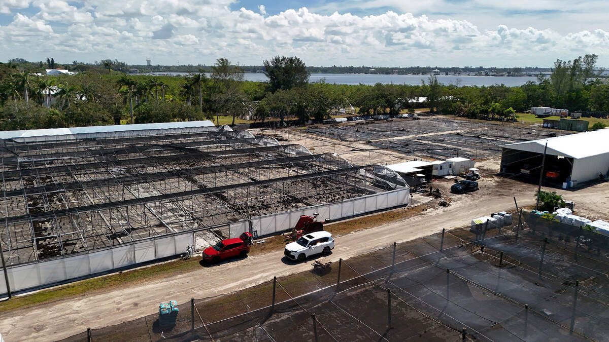 Orban’s Nursery in Northwest Bradenton has been an icon in Manatee County, famous for their annual poinsettia sales. Hurricane Helene devastated the family business, which has been in operation for 100 years and growing poinsettias for over 70 years.