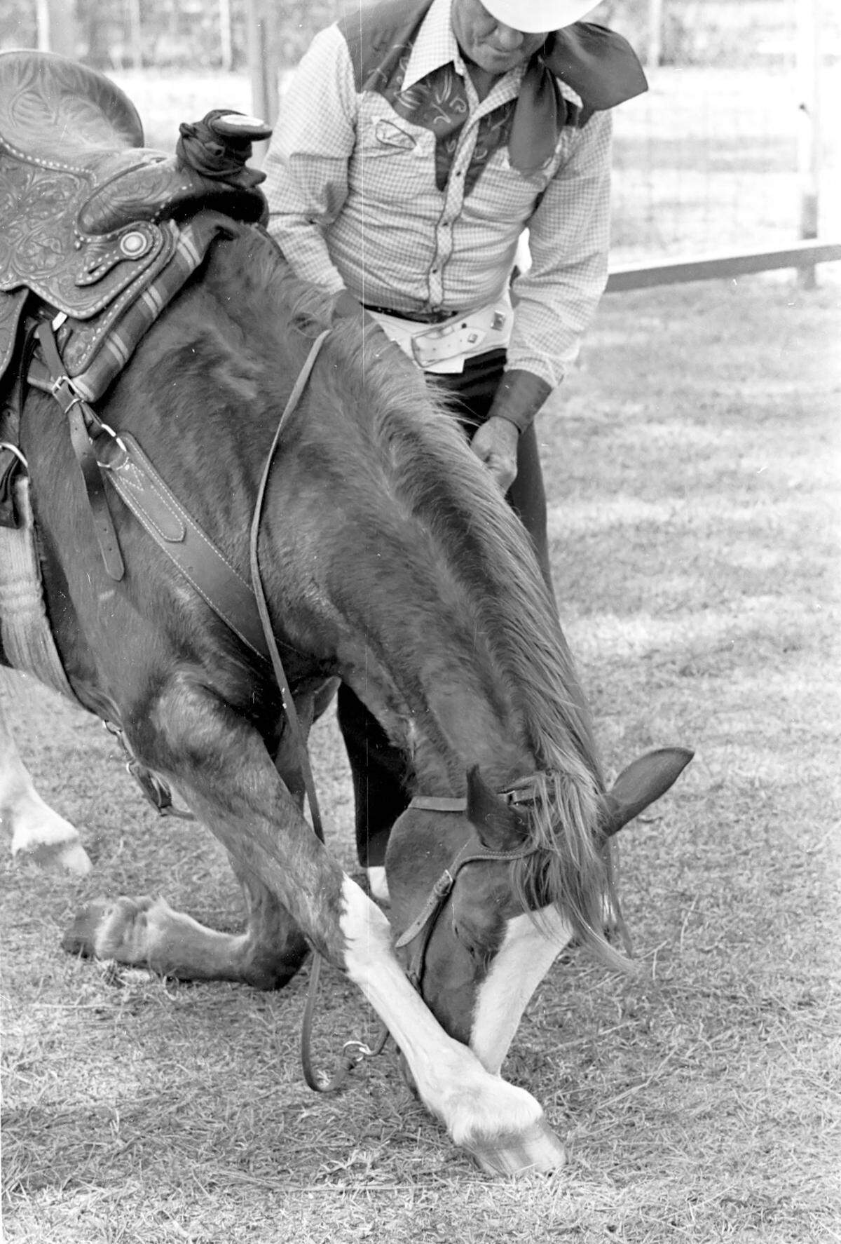 Hub Hubbell with horse Okie in 1979