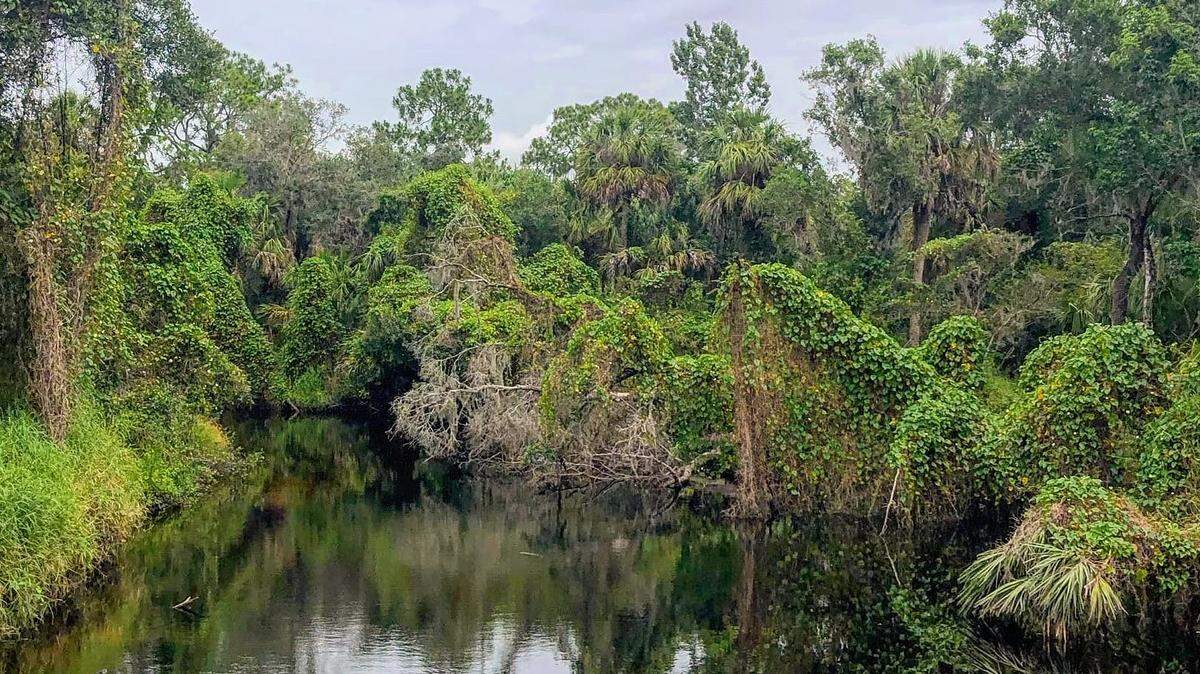 Congressman Vern Buchanan, R-Longboat Key, is making a second attempt to protect the Little Manatee River, which originates in Hillsborough County, with a scenic river designation. After the bill didn’t receive a vote in 2020, Buchanan submitted identical legislation seeking to give the river attention from federal officials.