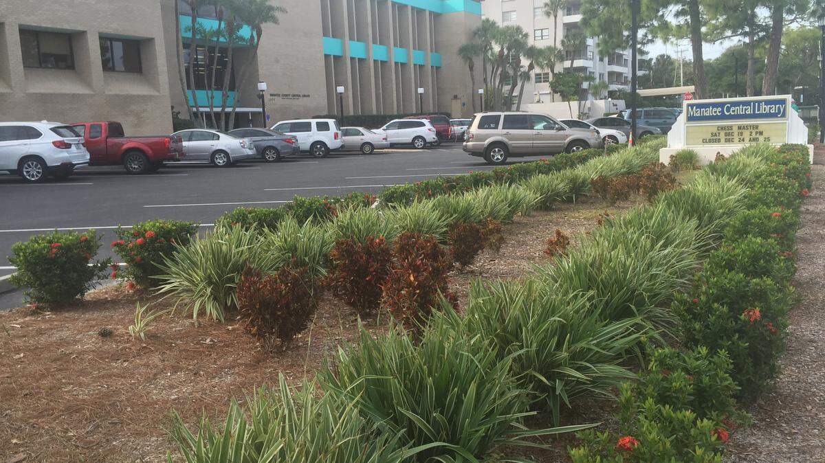 Manatee County has installed no-mow zones at 10 locations and plans to install more. There is a no-mow zone on the north side of the Central Library in Bradenton.CLAIRE ARONSON/Bradenton Herald