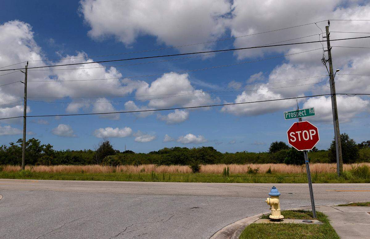 Located north of Kinnan Elementary, just north of Tallevast Road on the west side of Prospect Road, a new park in District 4 is yet to be named.