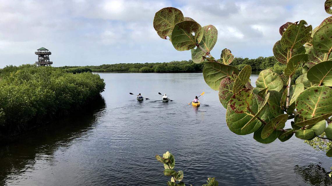 Manatee County’s Robinson Preserve was named 2022 Travelers’ Choice award winner by Tripadvisor. Seven other local attractions also received the honor.