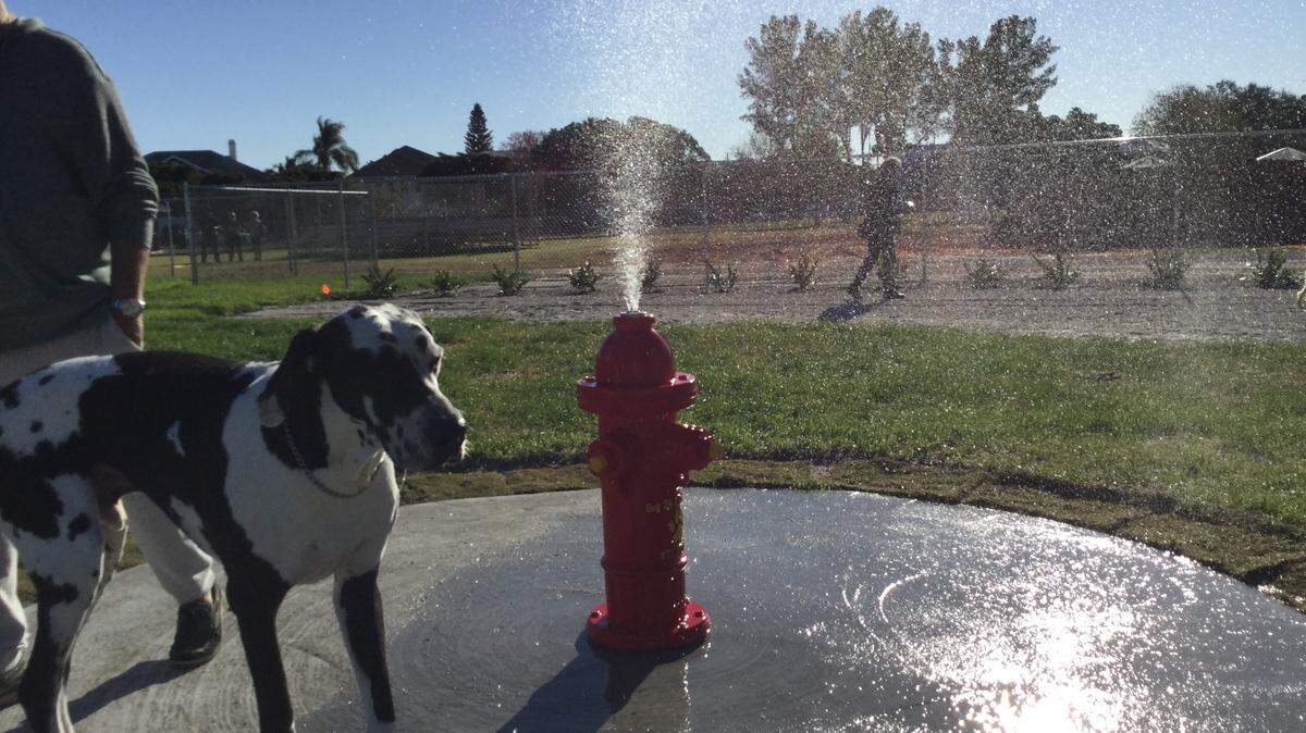 The dog days of summer won’t be an issue at Holmes Beach’s new dog park with this fun water feature.