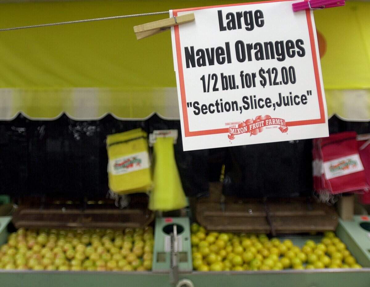 Good fruit and fun is the name of the game at Mixon’s Fruit Farm in East Manatee in 2002.