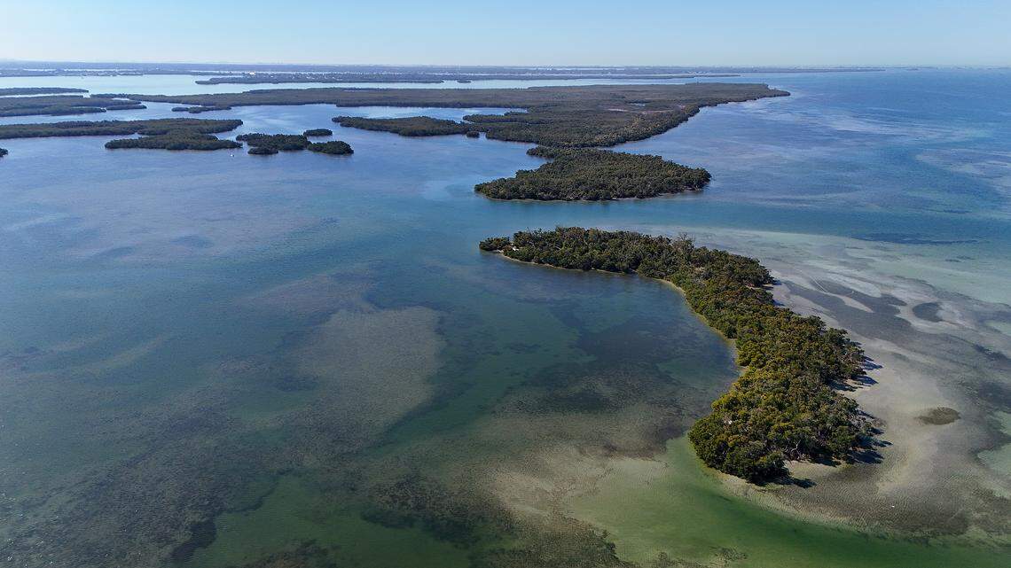 Looking south towards Skeet Key, Eds Key and Rattlesnake Key on Feb. 9, 2026. SSA Marine has promised to conserve Rattlesnake Key, but wants to develop other parts of the area to create a new cruise port.  