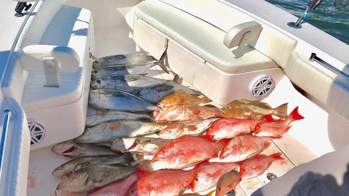 What fish can you catch in the Gulf? Anglers upset with open season mixed messaging
