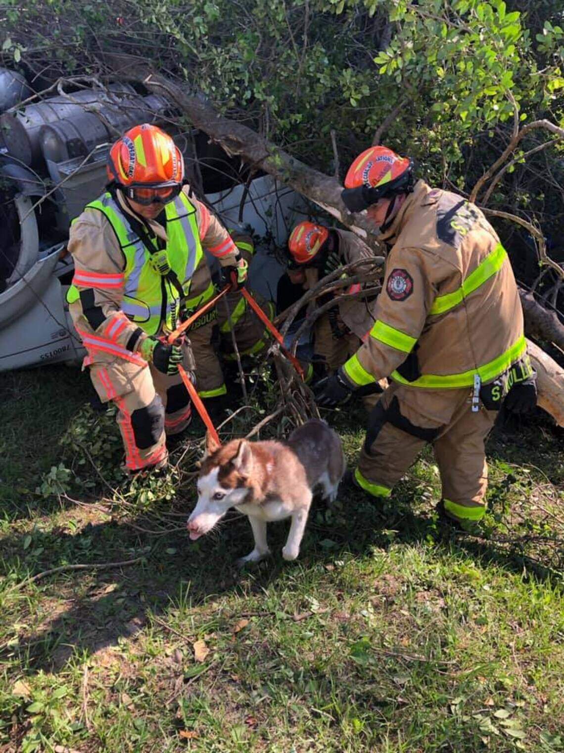 Dog rescued in semi rollover crash, boat blocks highway | Bradenton Herald