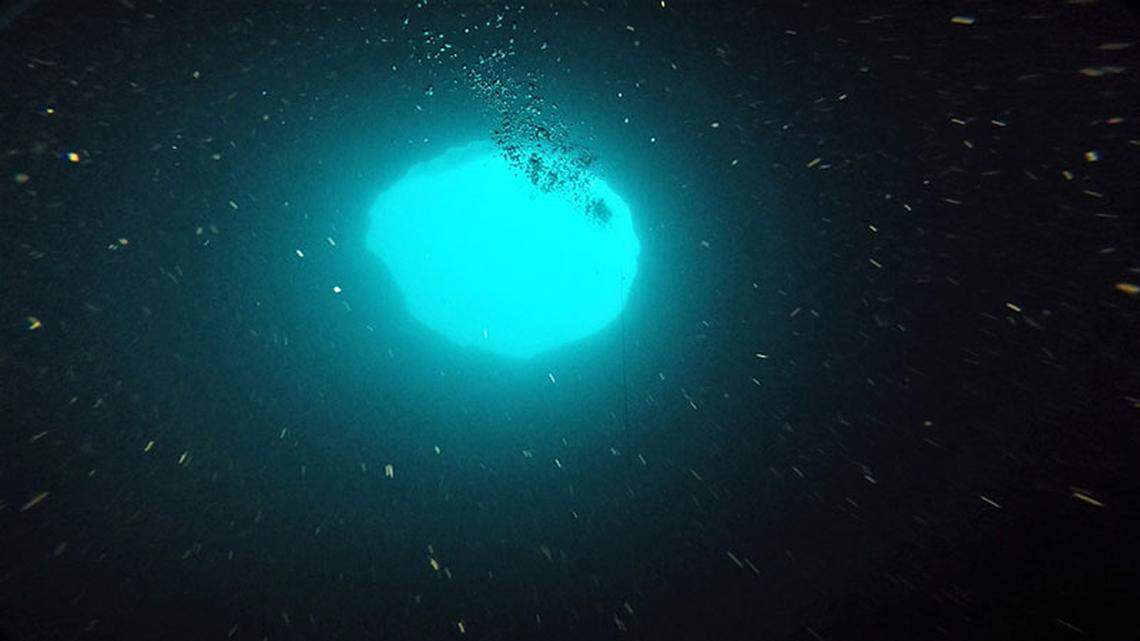A diver’s view looking up to the opening of the seafloor hole known as Amberjack Hole, which was explored last year.