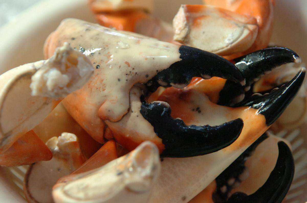 Stone crab claws at the Star Fish Company Seafood Market and Restaurant in Cortez.