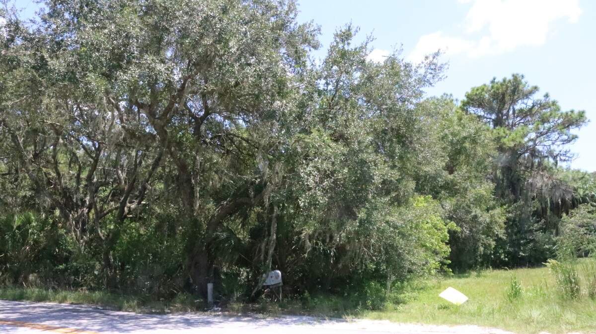 Linger Lodge Townhomes are proposed for a wooded area at 8240 Linger Lodge Road, near the east landing of the Interstate 75 overpass.