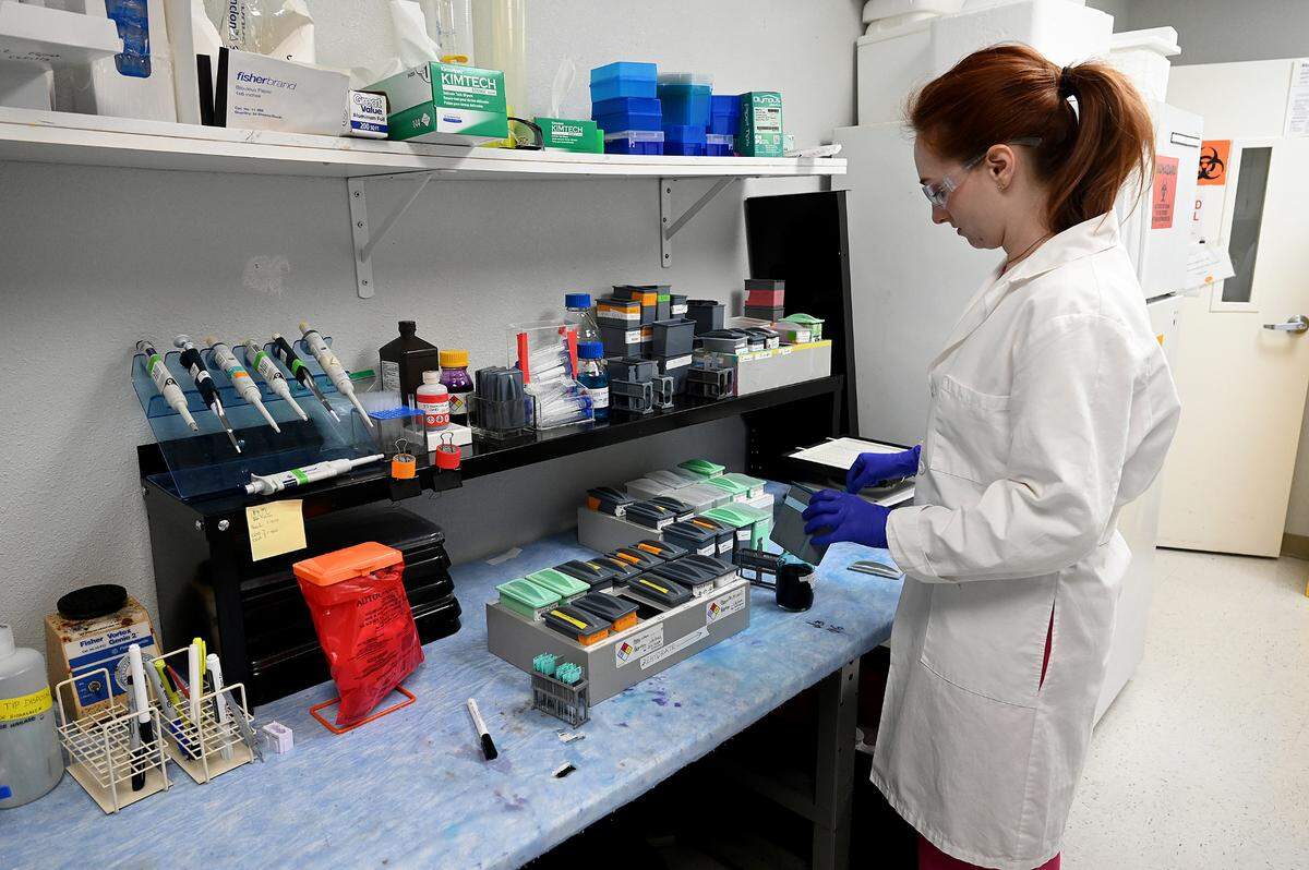 Research assistant Mackenzie Browning works in the pathology lab at the Roskamp Institute.