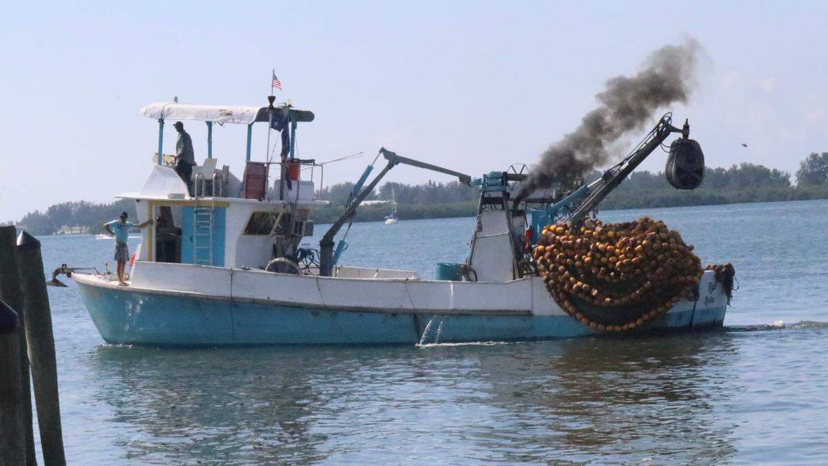 A commercial fishing boat maneuvers along the docks at A. P. Bell Fish Company, Cortez.