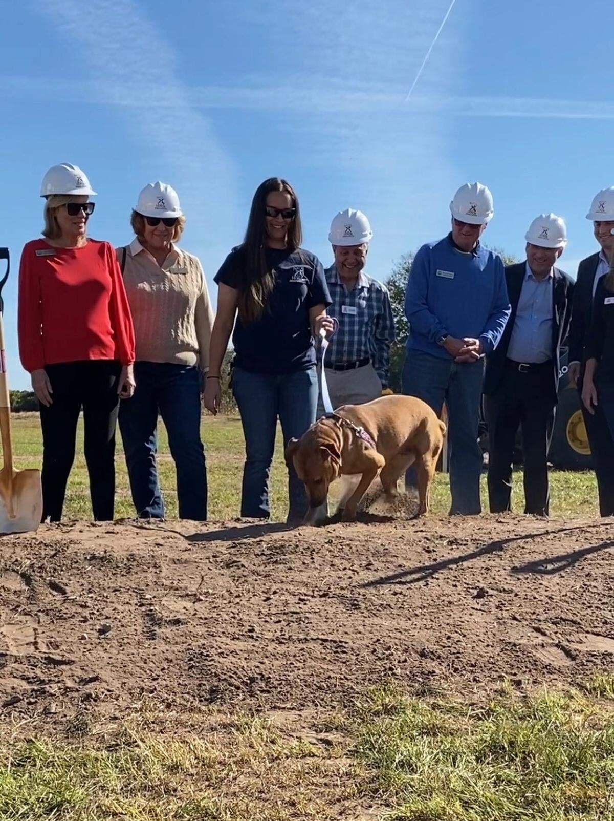 One of the dogs rescued from the Bahamas that is recuperating at Nate’s Honor Animal Rescue got the honors to kick off the facilitie’s $10 million expansion earlier this month.