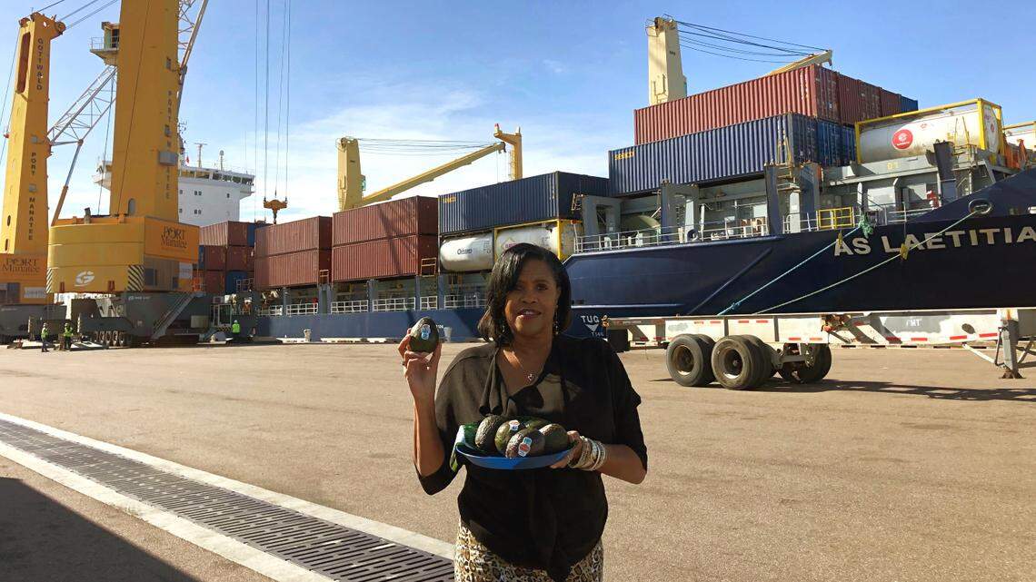 Focus on Manatee: Port Manatee fuels healthy diets with millions of avocados a year