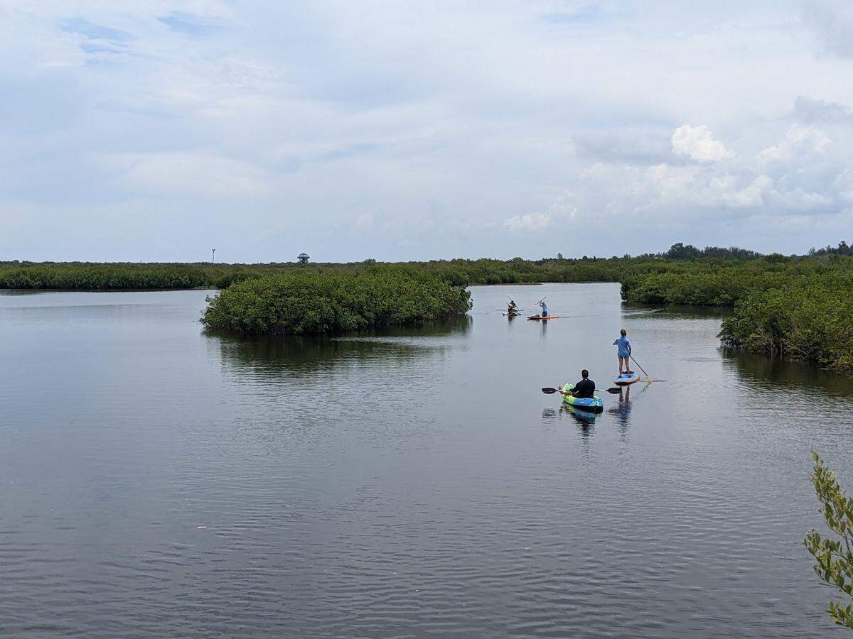 5/30/21--There are more than 70 miles of waterways to explore by paddle in the Manatee County Blueways trail system, part of which winds through Robinson Preserve.