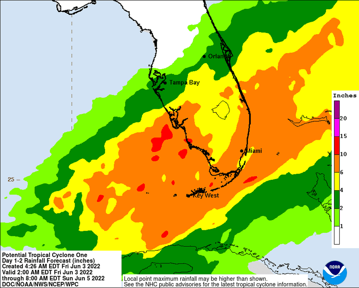 Forecasted rain totals forecast by the National Weather Service for Florida because of the tropical disturbance forecast to become Tropical Storm Alex.