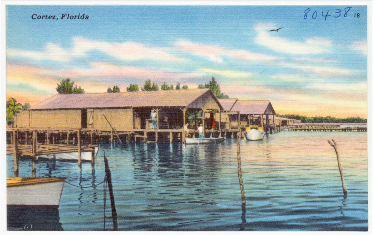 An early 1930s era postcard depicting the fishing village of Cortez.