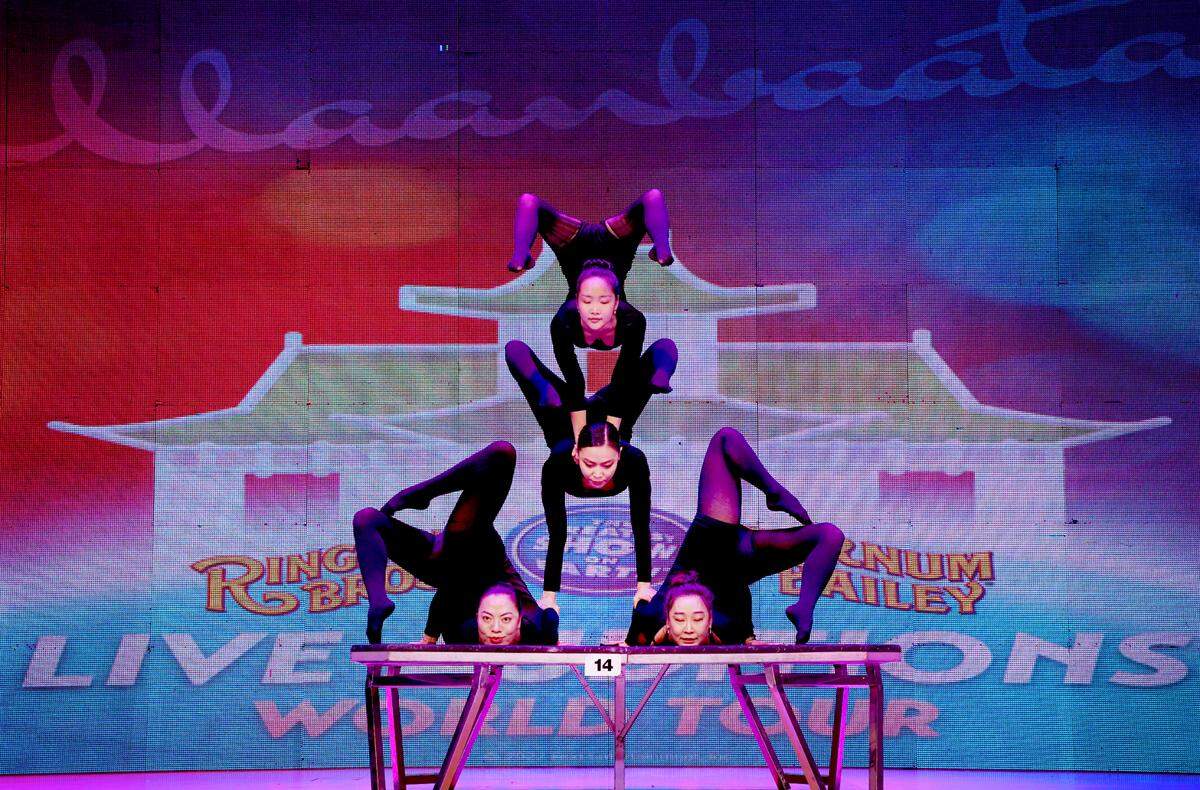 Auditions for The Greatest Show On Earth, like this one in Mongolia, are taking place in countries including Ethiopia, France, Mongolia, Argentina and the United States. 