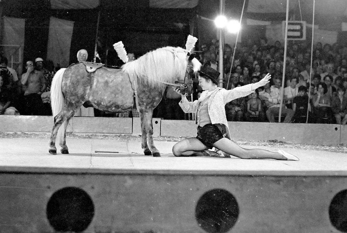 A woman performs with a pony during an act for the Sarasota High School’s Sailor Circus in 1977.