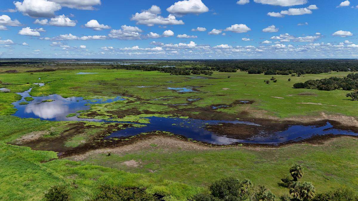Looking north on Myakka Road at the Myakka River on Sept. 24, 2025.