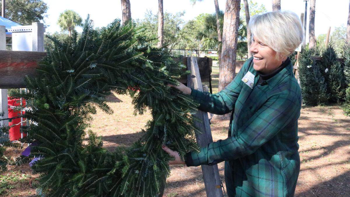 Wreaths are available for $25 to $30 at The Boys & Girls Clubs of Manatee County’s annual Christmas tree sale at McKelvey Park, next to Jessie P. Miller Elementary School, 3913 Manatee Ave. W.