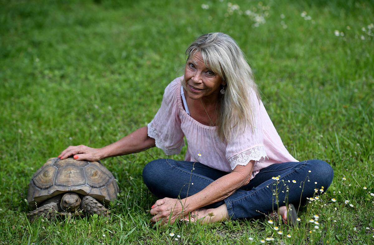 04/28/21—Carol Ann Felts, sitting with her African spurred tortoise, is challenging Carol Whitmore for the Manatee County Commission’s District 6 countywide seat.